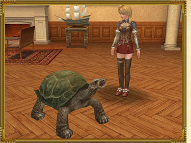 ���ڥåȡȥ���������о�