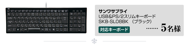 ����掠�ץ饤 / USB&PS/2����७���ܡ��� SKB-SL08BK���ʥ֥�å���