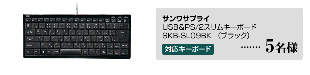 ����掠�ץ饤 / USB&PS/2����७���ܡ��� SKB-SL09BK���ʥ֥�å���
