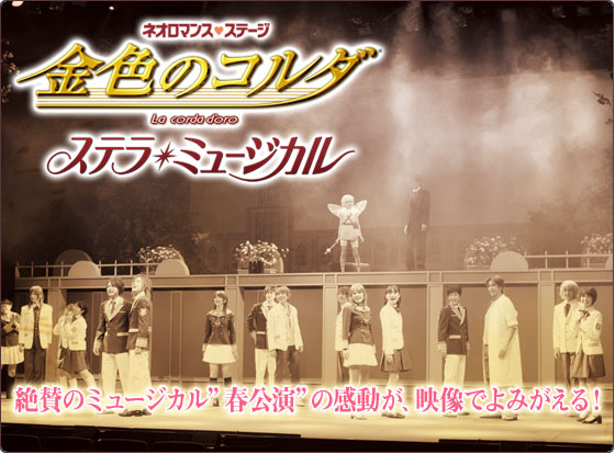 �饤�֥ӥǥ����ͥ����ޥ󥹡����ơ��� �⿧�Υ���� ���ƥ顦�ߥ塼������