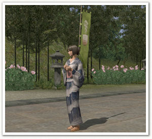 �����꡼�󥷥�å�