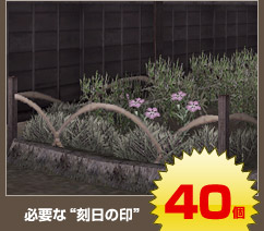 �����꡼�󥷥�å�