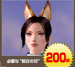 �����꡼�󥷥�å�