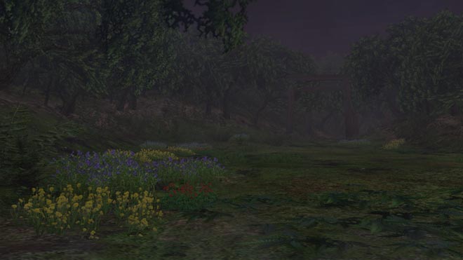 ŷ��̴���ξ�